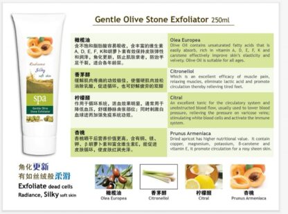 Gentle Olive Stone Exfoliator