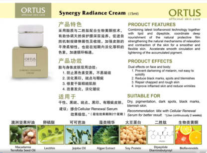 Synergy Radiance Cream